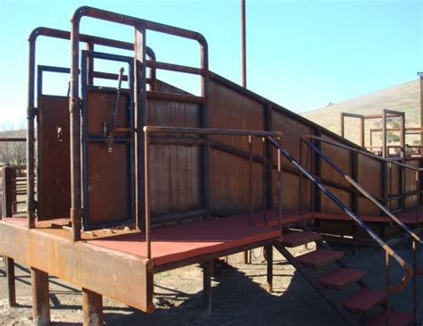 cattle loading chute dimensions|Loading Chute